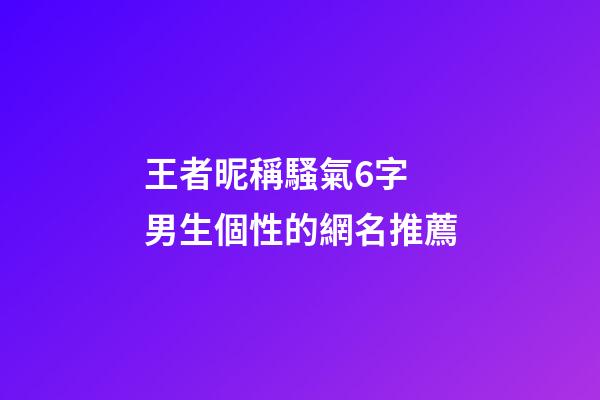王者昵稱騷氣6字 男生個性的網名推薦